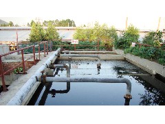 常用的江门污水处理剂有哪些？