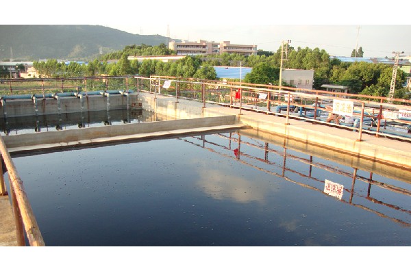 Sewage treatment system case 11