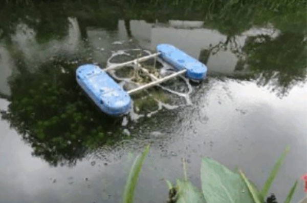 Sewage treatment in a river