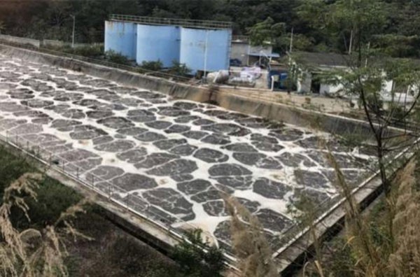 A landfill site of domestic waste leachate in Guangxi