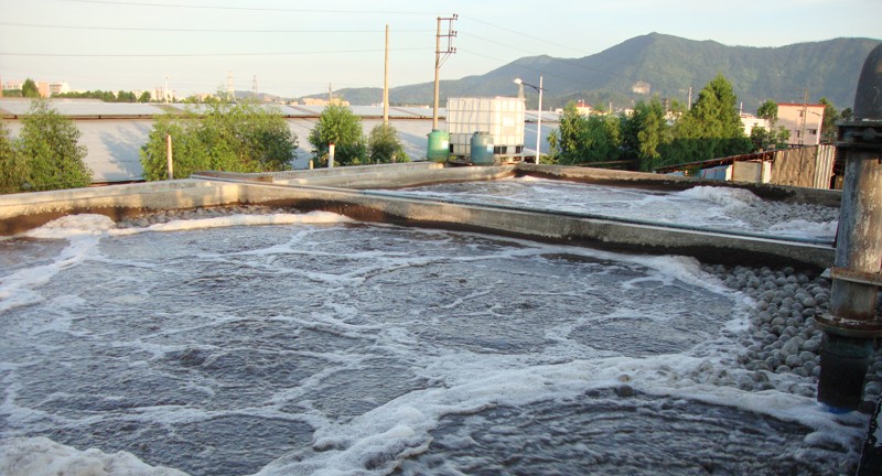 Sewage treatment system case 13